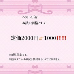 お試し価格(新規限定)2000👉🏻1000円‼️枠が埋まり次第終了。