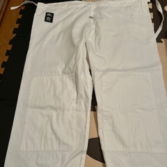 使用回数数回　2点まとめて　
剣道着と柔道着　の画像