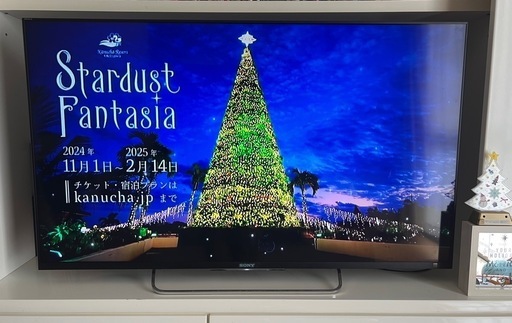 50インチテレビ　SONY BRAVIA KDL-50W800B 外付けチューナー\u0026Apple TV付き
