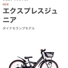 ブリヂストン20インチ（ギアは壊れています） の画像
