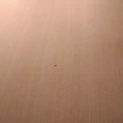 ローテーブル　折りたたみ式の画像