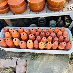 0円②　素焼き鉢　植木鉢　園芸用品の画像