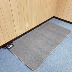  20922  ホットカーペット　電気カーペット　長方形 NITORI   ◆大阪市内・東大阪市他 6,000円以上ご購入で無料配達いたします！◆ ※京都・高槻・枚方方面◆神戸・西宮・尼崎方面◆生駒方面、大阪南部方面　それぞれ条件付き無料配送あり！            の画像