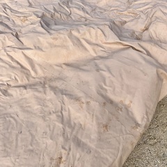 100%コットン ベルテント、センターポール他、ペグ14本