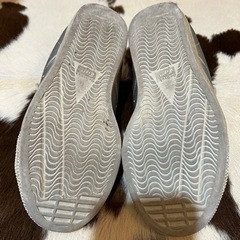 04 オニツカタイガー　22cmの画像