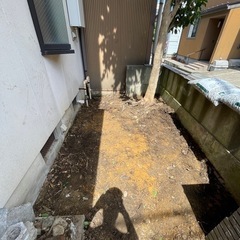 【募集】椿の木の剪定の画像
