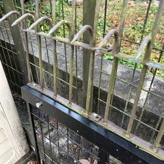値下げ中‼️鉄柵の画像