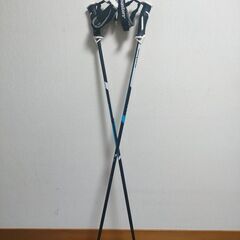 スキーセット【未使用masters★イタリア産 115cm スキーポールストック】＆【中古HART ハート165cm】の画像