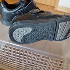 キッズ　Kappa スニーカー　19センチの画像