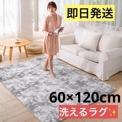 カーペット ラグ ホットカーペット対応 ラグマット シャギーラグ...