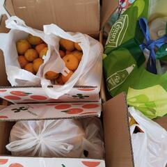 みかん　20個の画像