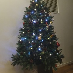 立派で大きなクリスマスツリー🎄の画像