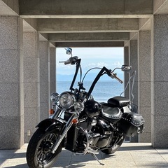 大型アメリカンと交換していただけたら、