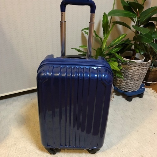 キャリーバック
