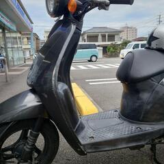 原付ホンダトゥデイ AF61