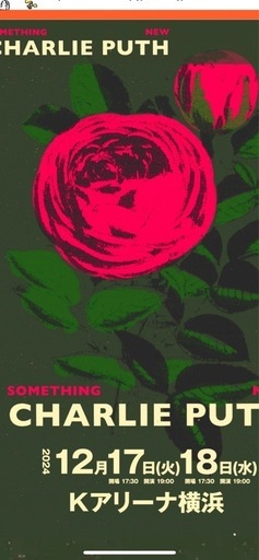 チャ-リ-プ-スのチケット2枚