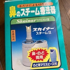 鼻のスチーム