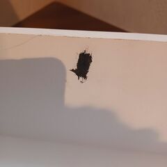 お譲りします　壁掛シェルフ　白　カントリー調の画像