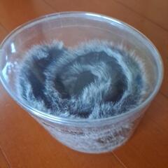 値下げしてます！フェイクファーティペットと薔薇、リボンのブローチの画像