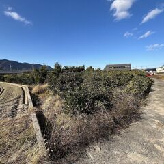 果樹栽培に最適