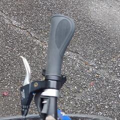 GIOS　PURE FLATの画像
