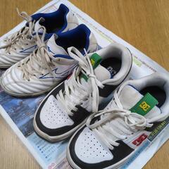最終値下げしました！DCシューズ　ミズノトレーニングシューズ20センチ　スニーカーの画像