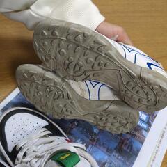 最終値下げしました！DCシューズ　ミズノトレーニングシューズ20センチ　スニーカーの画像