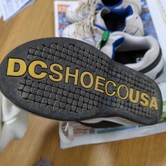 最終値下げしました！DCシューズ　ミズノトレーニングシューズ20センチ　スニーカーの画像