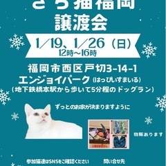 1/26  さち猫福岡譲渡会　エンジョイパーク