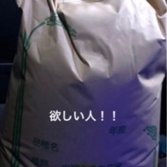 水稲うるち玄米　30キロ