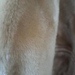 値下げしてます！KANSAIJEANS フェイクムートンショートコートの画像