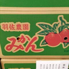 羽佐農園みかん　和歌山県　Ｓ　5㎏1箱(空き箱)　税込2500円の画像