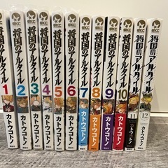 決まりました　将国のアルタイル　1〜12巻セットの画像