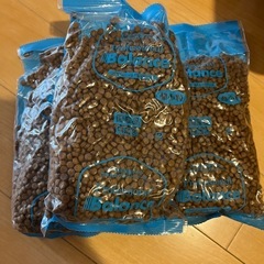 ドッグフード