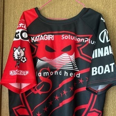 コンサドーレプラチナシート限定ユニホームの画像