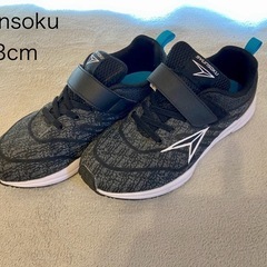 瞬足　23cm