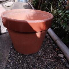 植木鉢 13号