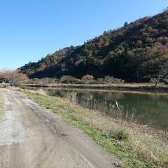 水上バイク基地にぴったり！　希少！海辺の土地、名勝久美浜湾の一角。汽水域にあり、モンドリを仕掛けウナギ・スッポンが獲れるとか？ソロキャンプ用地にも。（計5区画） - 京丹後市