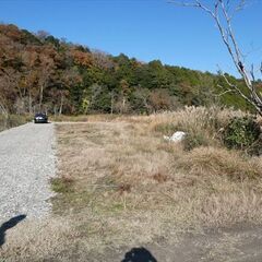 水上バイク基地にぴったり！　希少！海辺の土地、名勝久美浜湾の一角。汽水域にあり、モンドリを仕掛けウナギ・スッポンが獲れるとか？ソロキャンプ用地にも。（計5区画） - 土地販売/土地売買