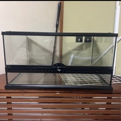 爬虫類 水槽