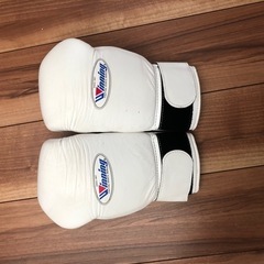 ウイニンググローブ　
10oz