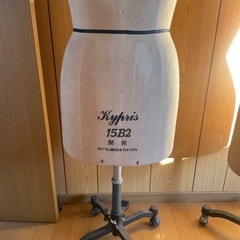 ボディーの画像