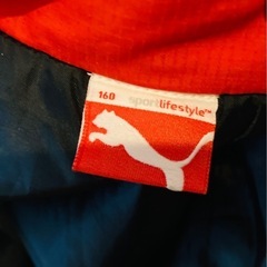 PUMAジャンパー160㌢の画像