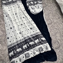 こたつカバーorカーペットの画像