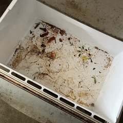 冷蔵庫の画像