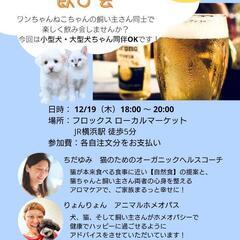 【横浜】わんちゃんと飲み会🍻🐶✨