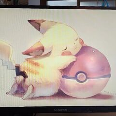 「ジャンク」ディスプレイ27
