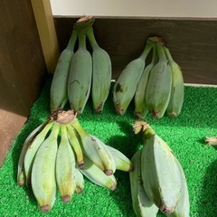 アイスクリームバナナ