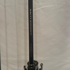 シーバスセットの画像