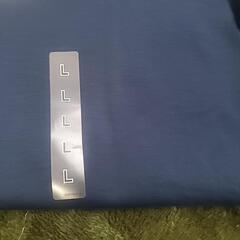 クルーネックTの画像